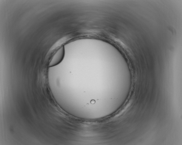 X0000114631354200910201013