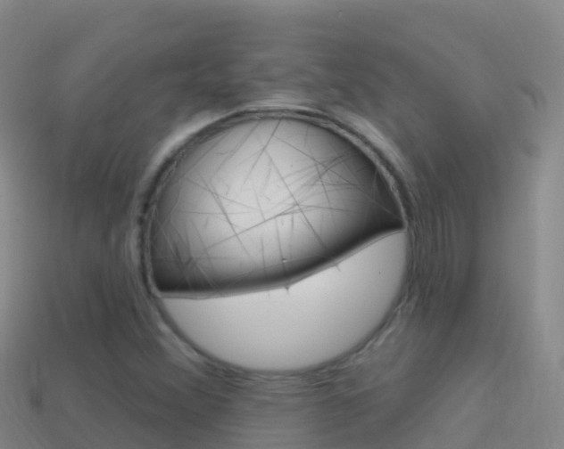 X0000114631356200910201013
