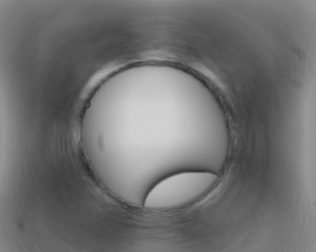 X0000114631358200910201013
