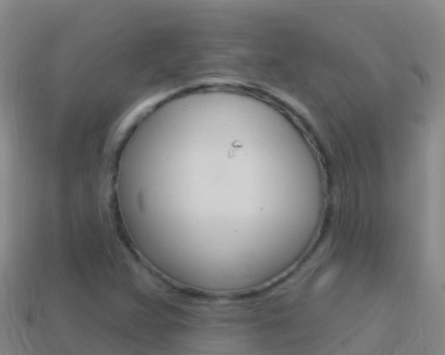 X0000114631359200910201013