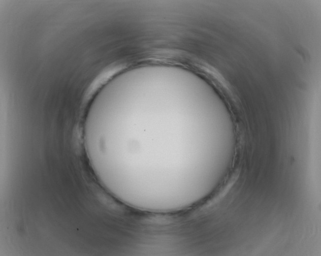 X0000114631362200910201013