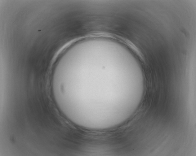 X0000114631364200910201013