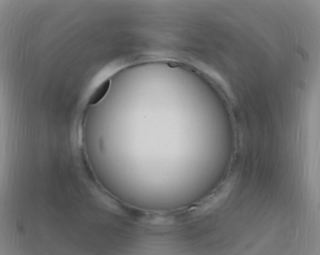 X0000114631365200910201013