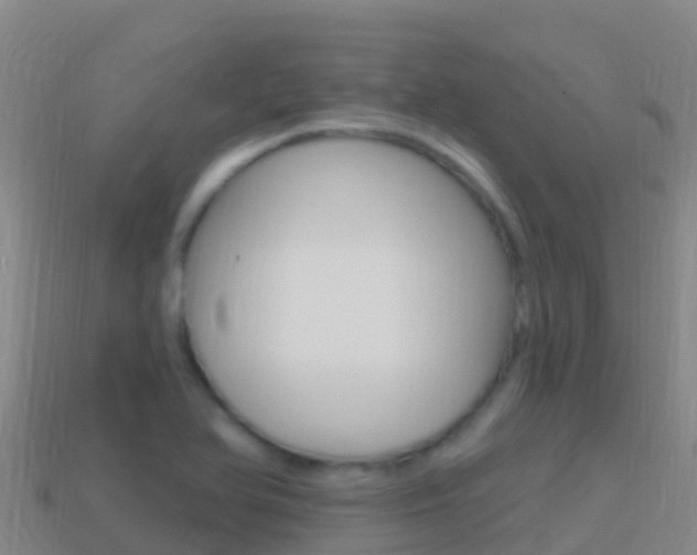 X0000114631366200910201013