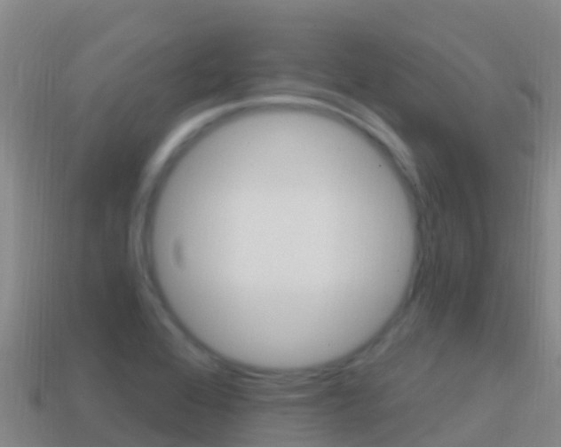 X0000114631368200910201013