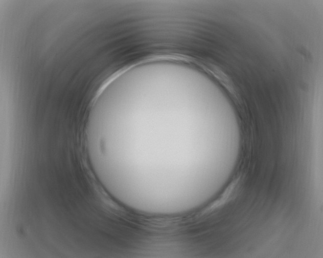 X0000114631369200910201013