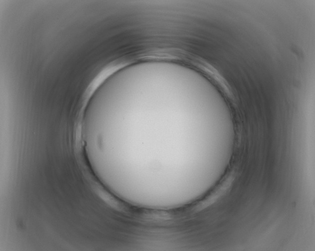 X0000114631370200910201013