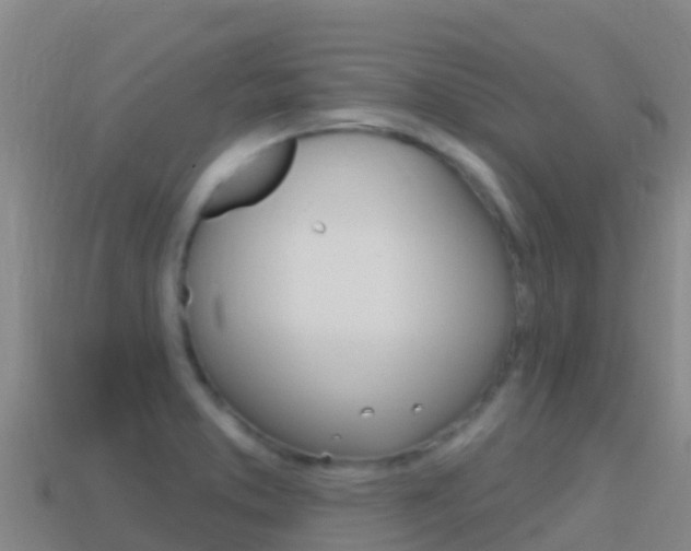 X0000114631373200910201013