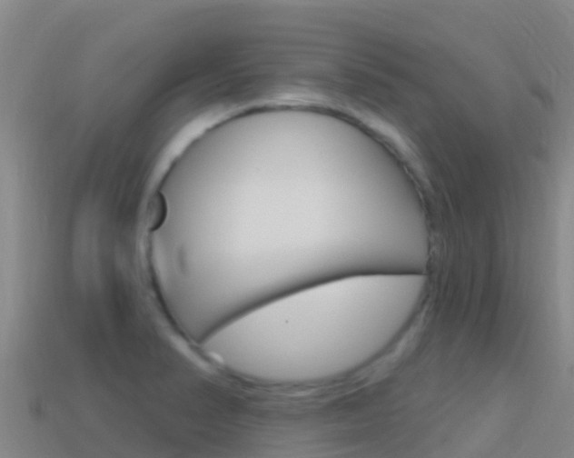 X0000114631374200910201013