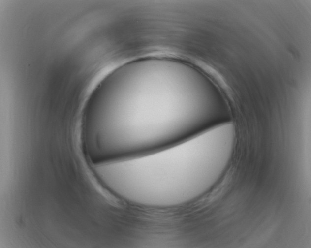 X0000114631375200910201013