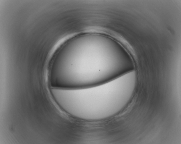 X0000114631376200910201013