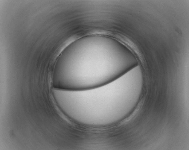 X0000114631377200910201013