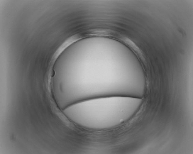 X0000114631378200910201013