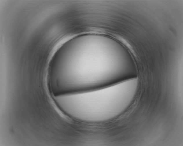 X0000114631379200910201013