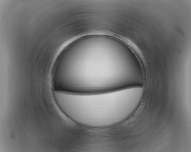 X0000114631380200910201013