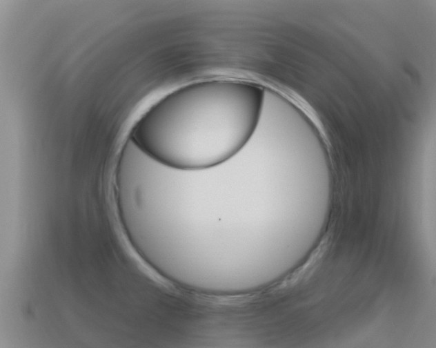 X0000114631381200910201013