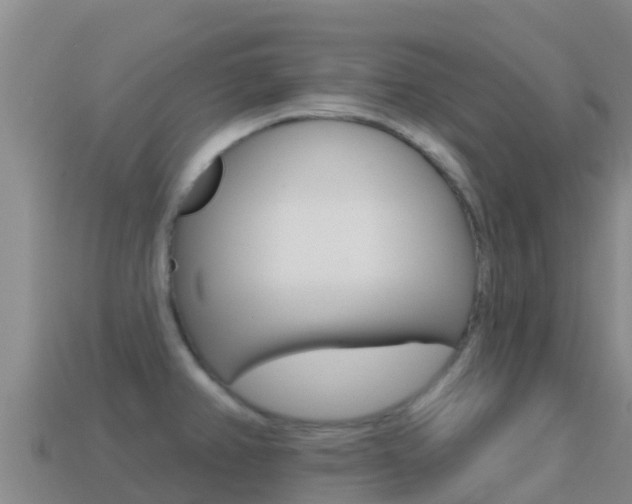 X0000114631382200910201013