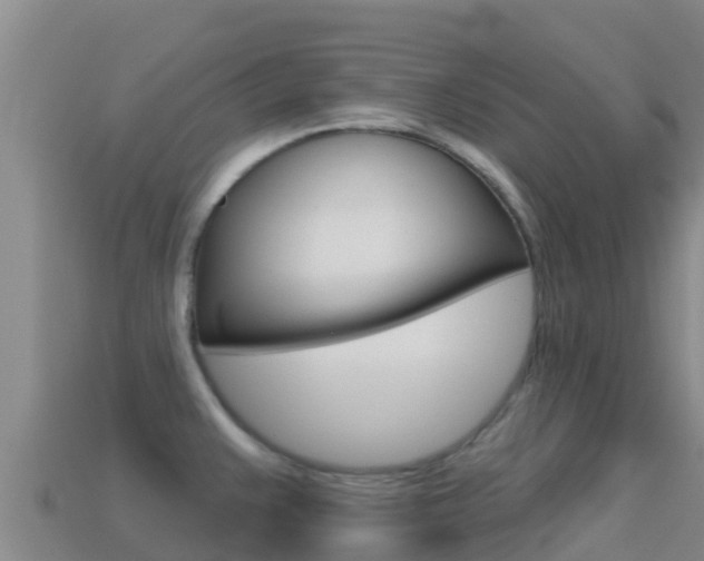 X0000114631383200910201013