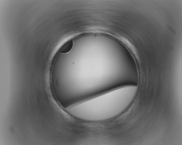 X0000114631384200910201013