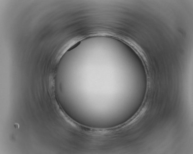 X0000114631385200910201013