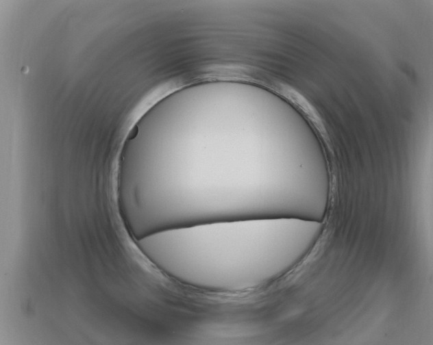 X0000114631386200910201013