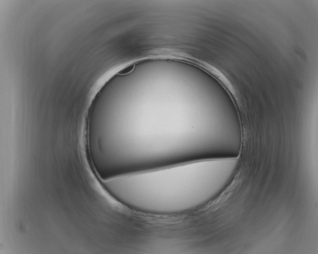 X0000114631387200910201013