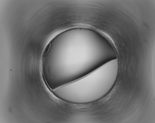 X0000114631391200910201013
