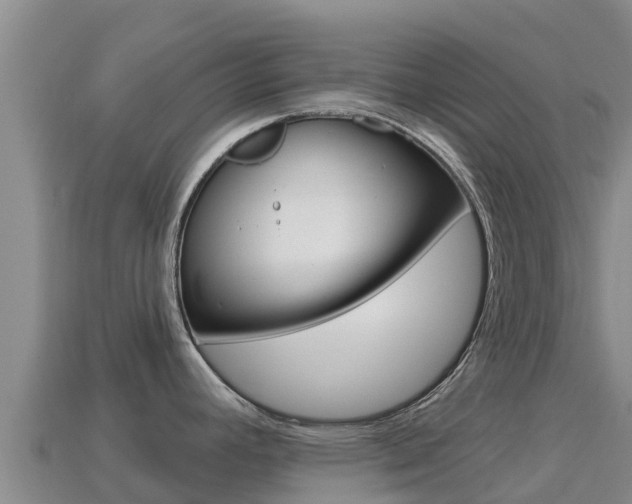 X0000114631392200910201013