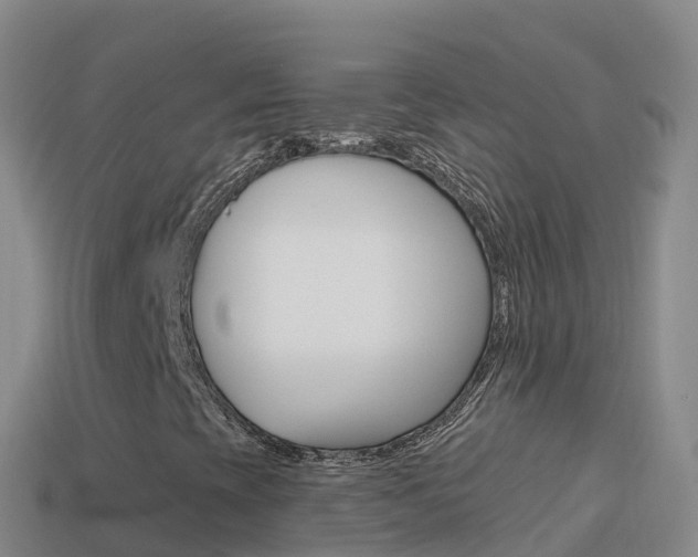 X0000114631393200910201012