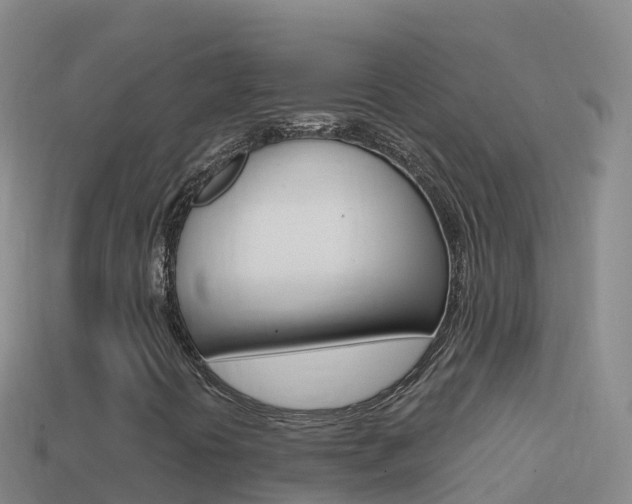 X0000114631394200910201012
