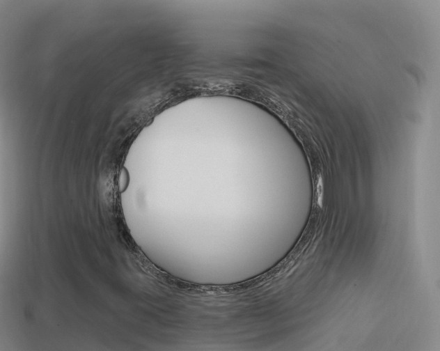 X0000114631395200910201012