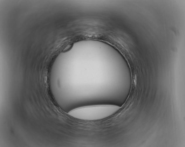 X0000114631396200910201012
