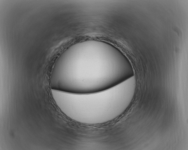 X0000114631398200910201012