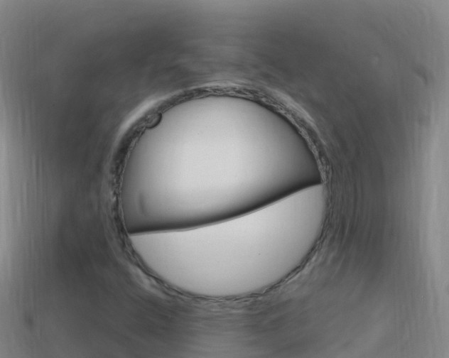 X0000114631400200910201012