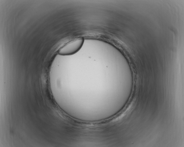 X0000114631401200910201012