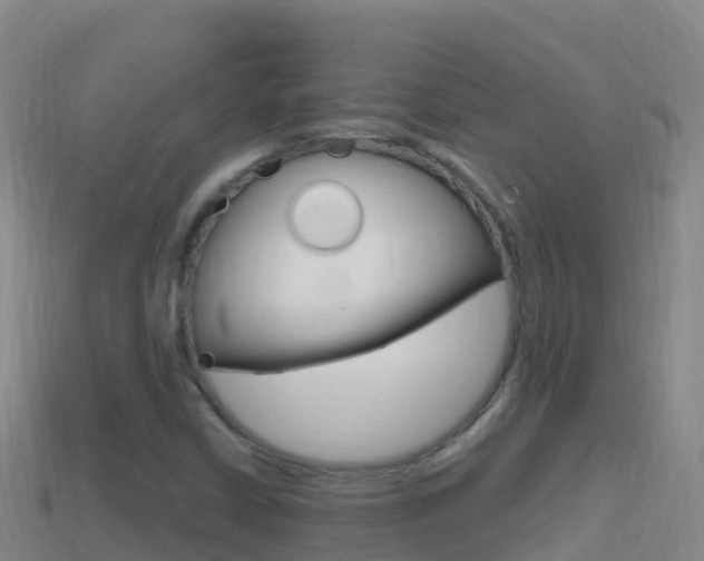 X0000114631402200910201012