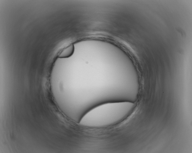 X0000114631405200910201013