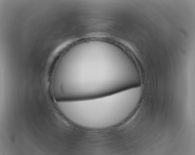 X0000114631406200910201013