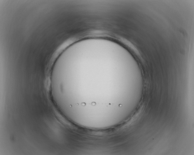 X0000114631413200910201013