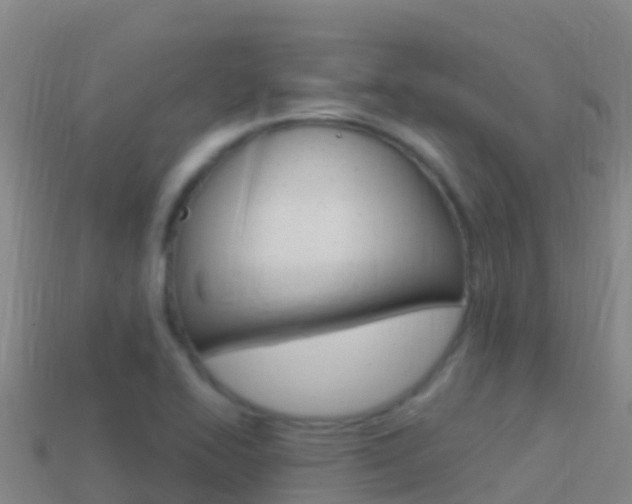 X0000114631414200910201013