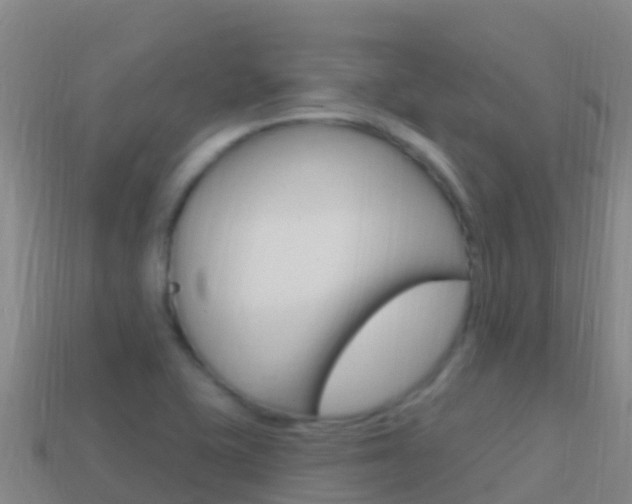 X0000114631415200910201013