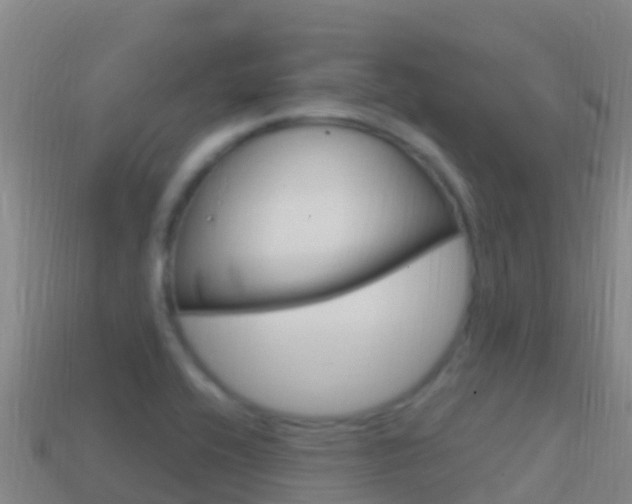 X0000114631416200910201013