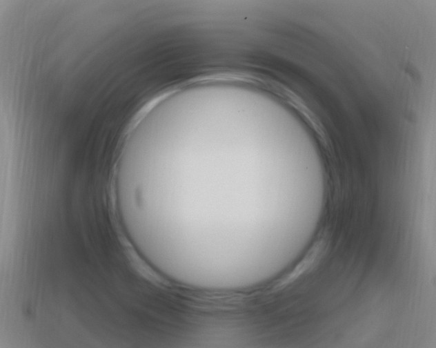 X0000114631417200910201013