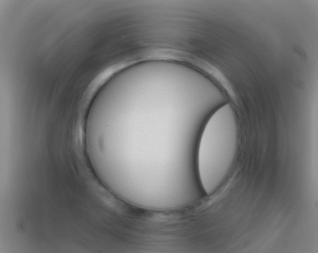 X0000114631419200910201013