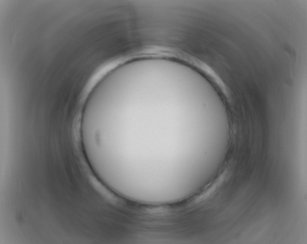 X0000114631421200910201013