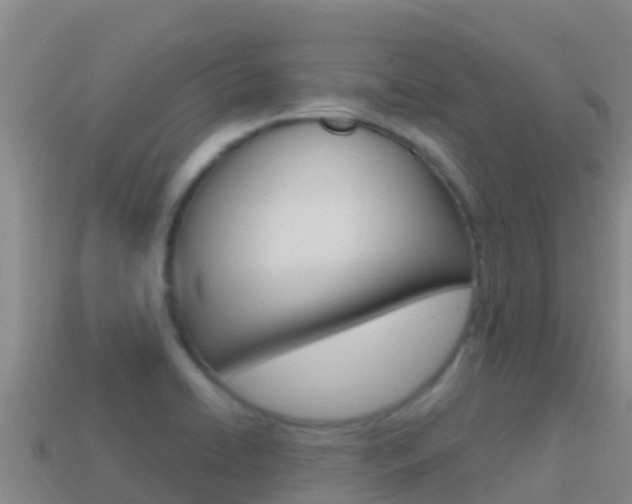 X0000114631422200910201013