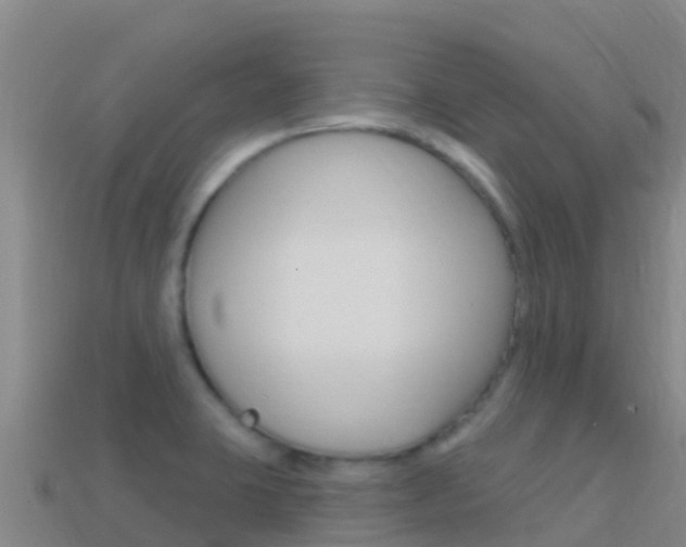 X0000114631423200910201013