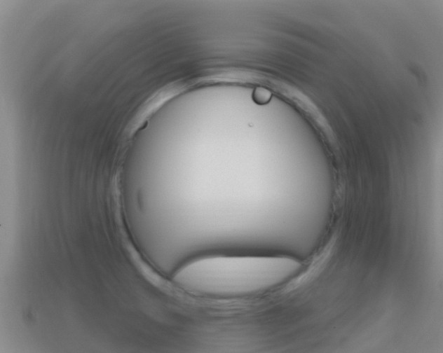 X0000114631425200910201013