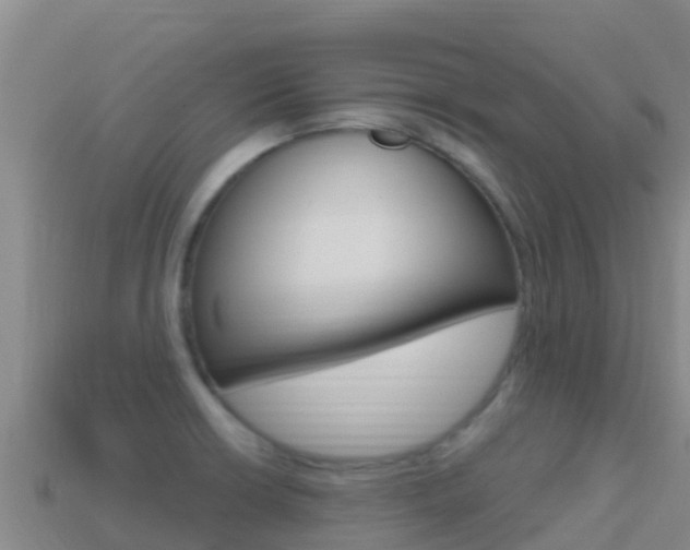 X0000114631426200910201013