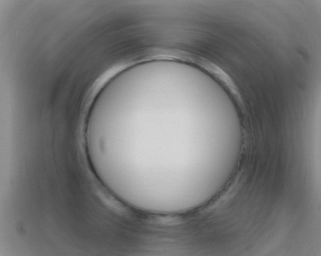 X0000114631427200910201013